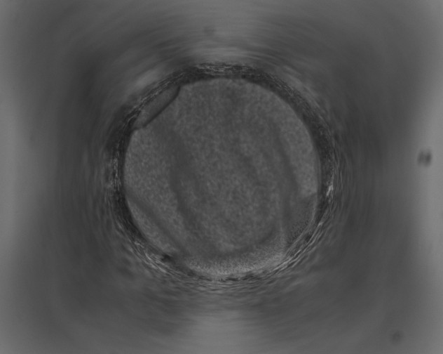 X0000096980965200803071026