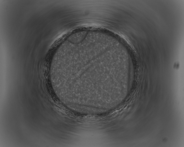 X0000096980967200803071025