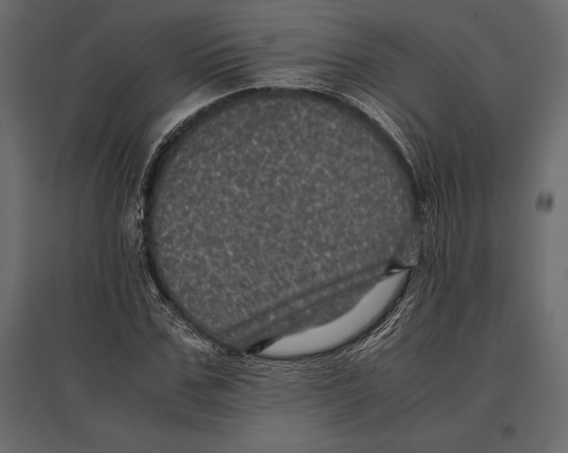 X0000096980971200803071025