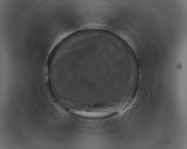 X0000096980973200803071025