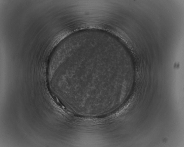 X0000096980977200803071025