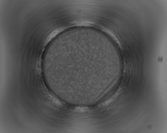 X0000096980978200803071025