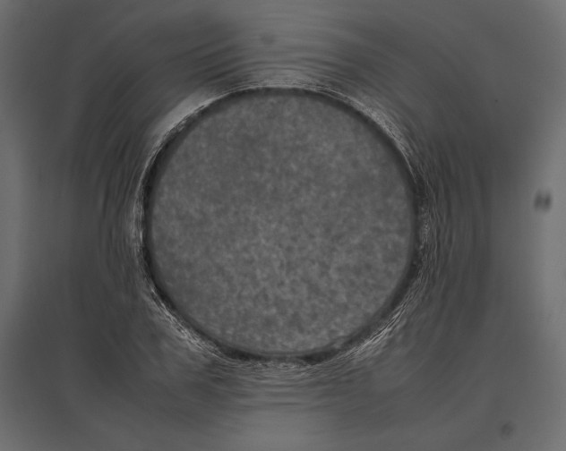 X0000096980979200803071025