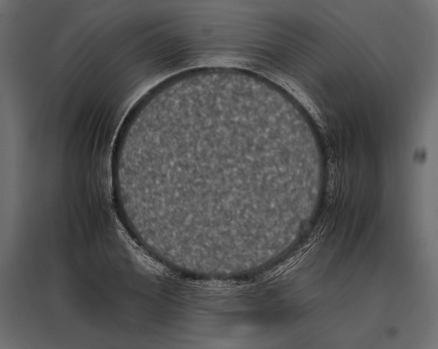 X0000096980980200803071025