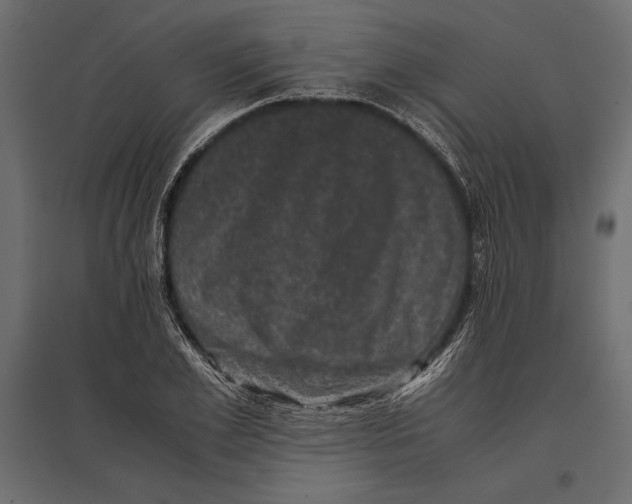 X0000096980981200803071025