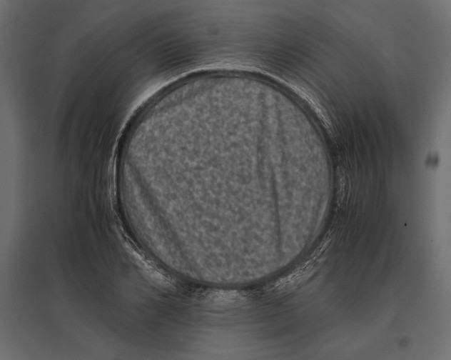 X0000096980982200803071025