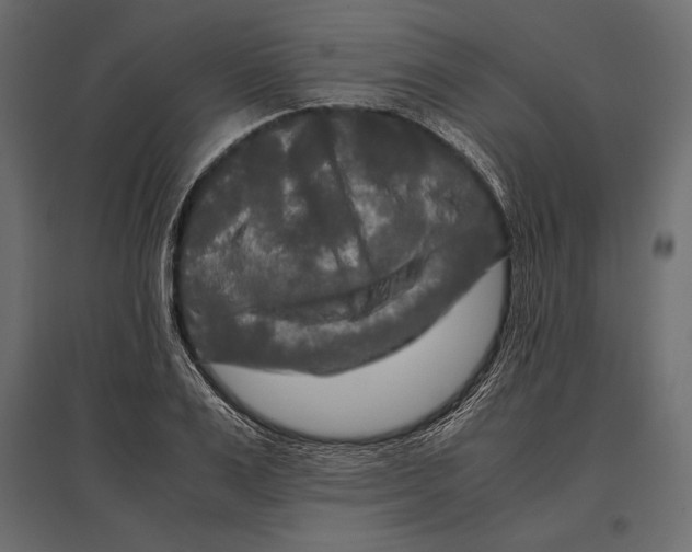 X0000096980983200803071025