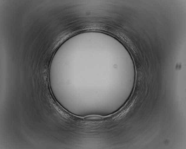 X0000096980985200803071025