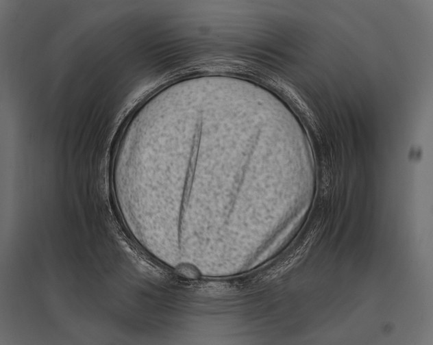 X0000096980986200803071025