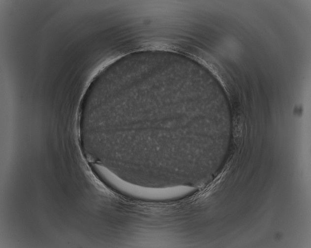 X0000096980987200803071025