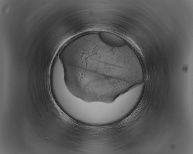 X0000096980988200803071025