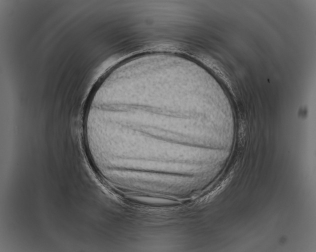 X0000096980989200803071025