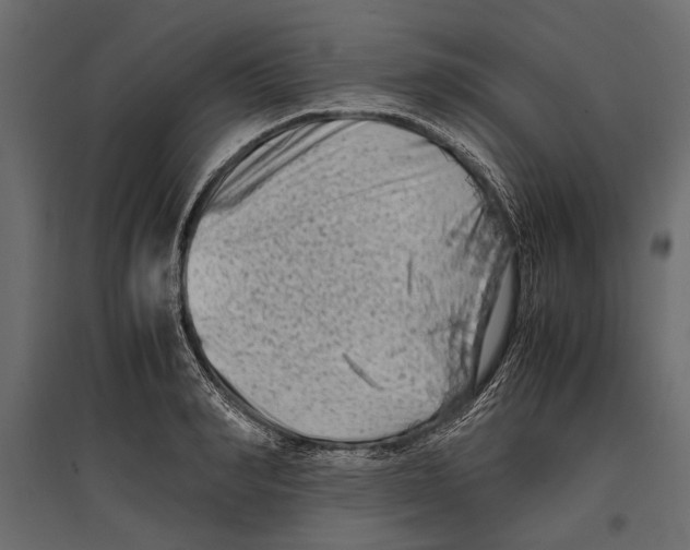 X0000096980990200803071025