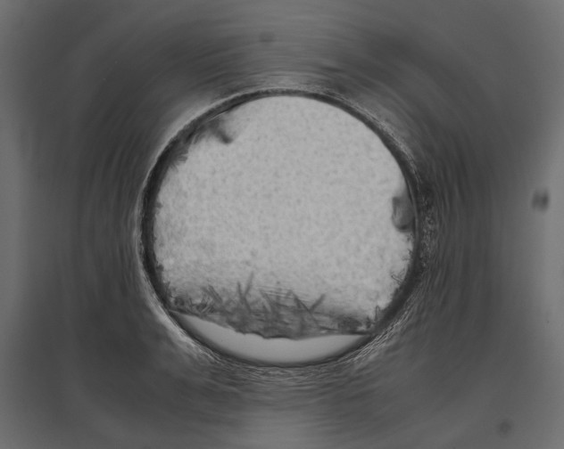 X0000096980991200803071025