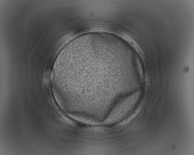 X0000096980993200803071025