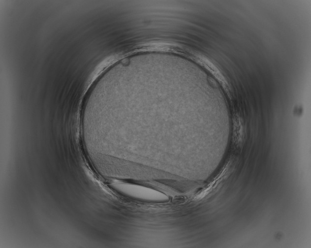 X0000096980994200803071025