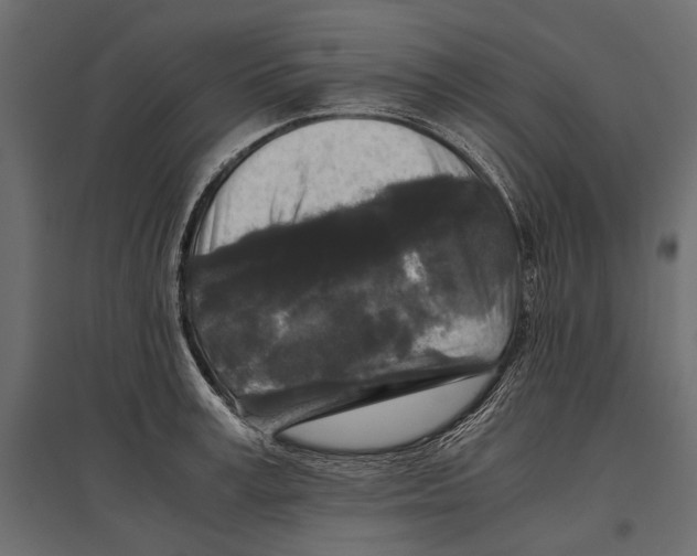 X0000096980995200803071025