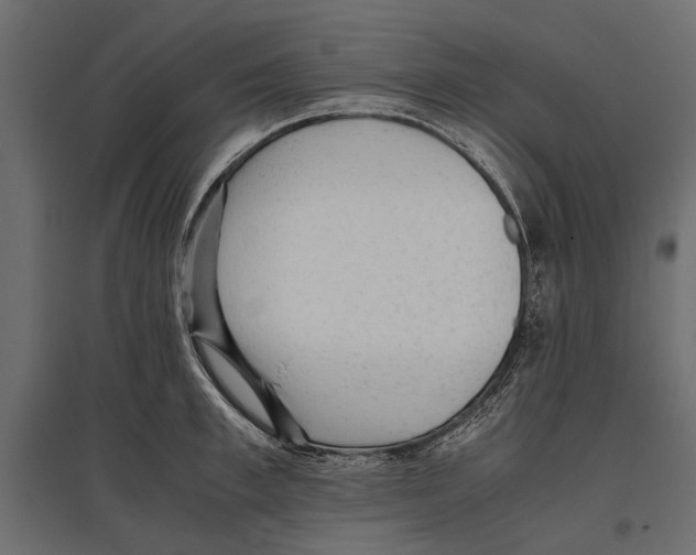 X0000096980997200803071025