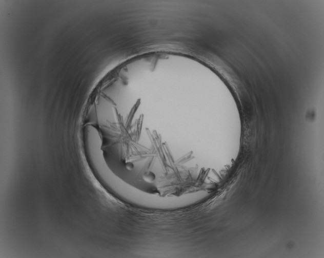 X0000096980999200803071025