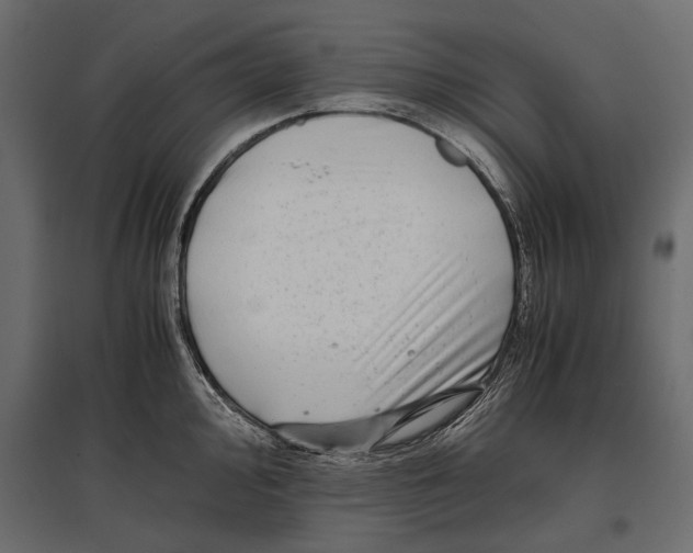 X0000096981000200803071025