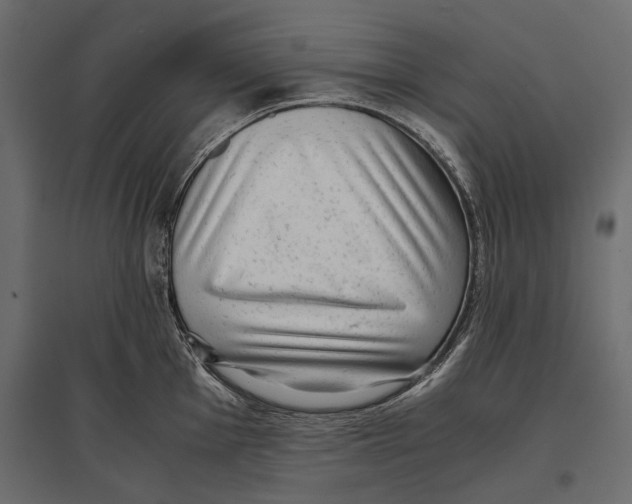 X0000096981001200803071025