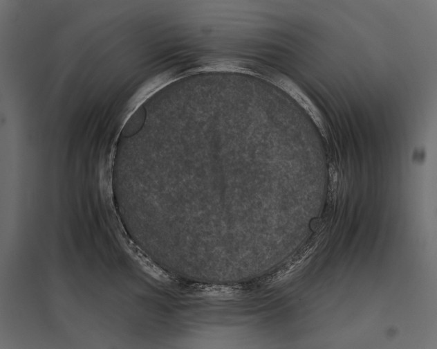 X0000096981002200803071025