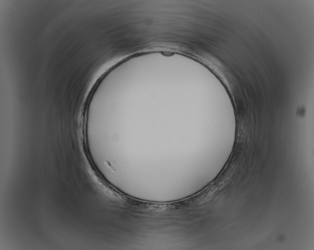 X0000096981003200803071025