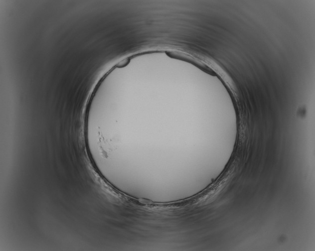 X0000096981004200803071025