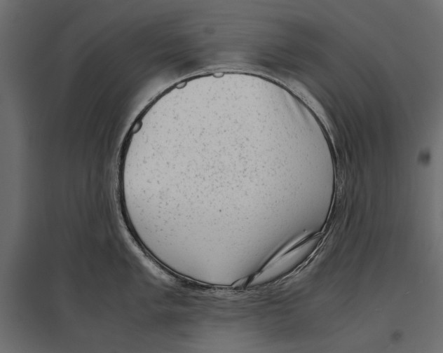 X0000096981005200803071025