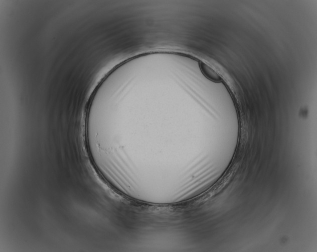 X0000096981006200803071025