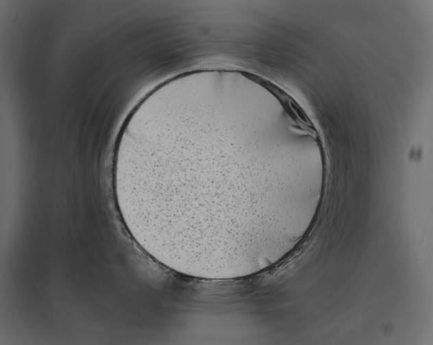 X0000096981008200803071025