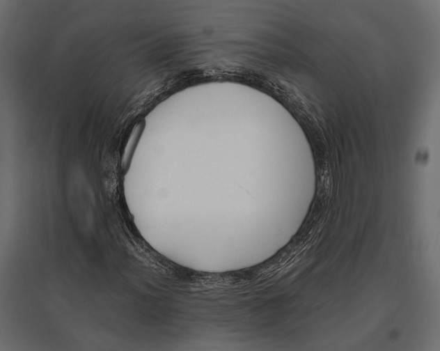 X0000096981012200803071024