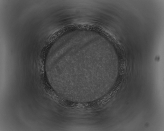 X0000096981013200803071024