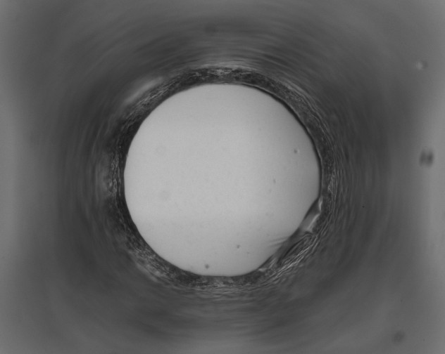 X0000096981014200803071024