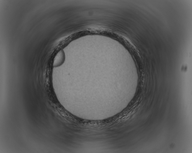 X0000096981016200803071024