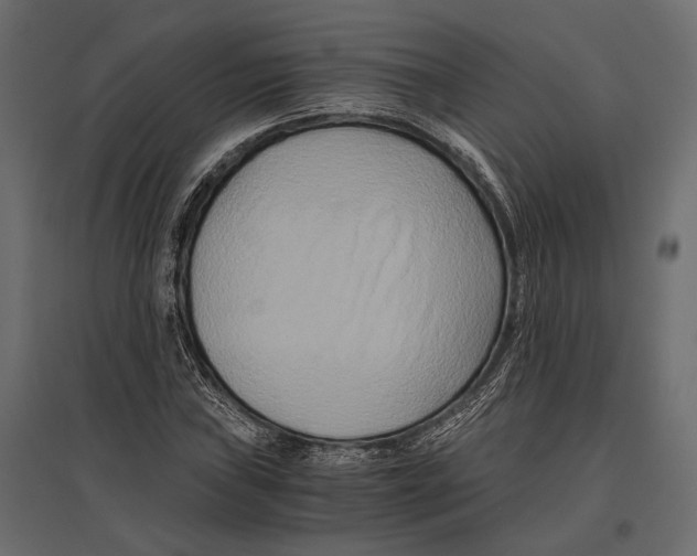 X0000096981019200803071024