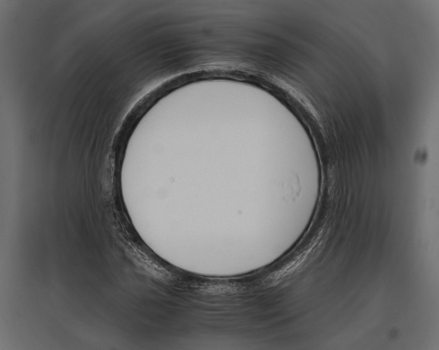 X0000096981021200803071024