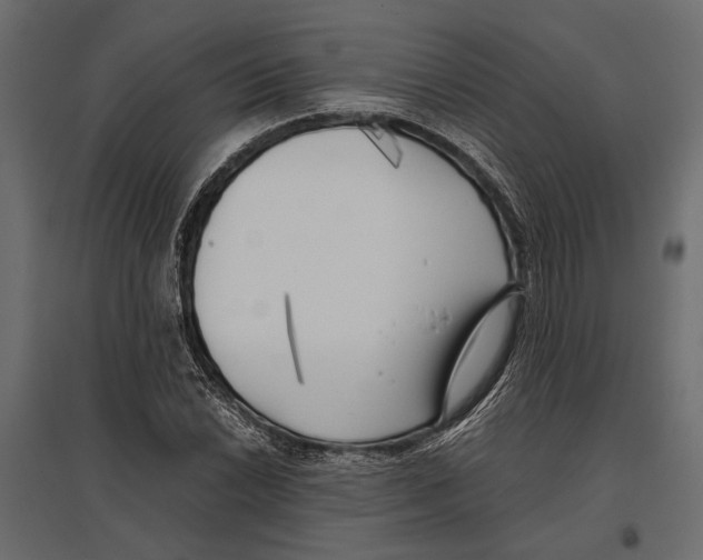 X0000096981022200803071024