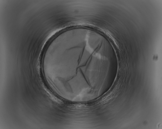 X0000096981024200803071024