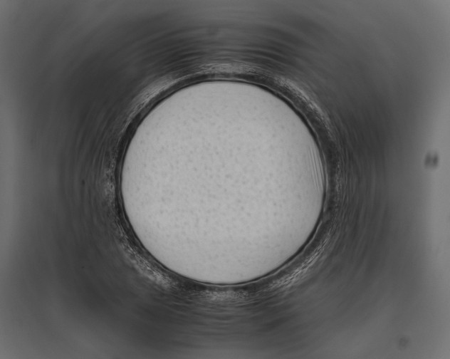 X0000096981025200803071024