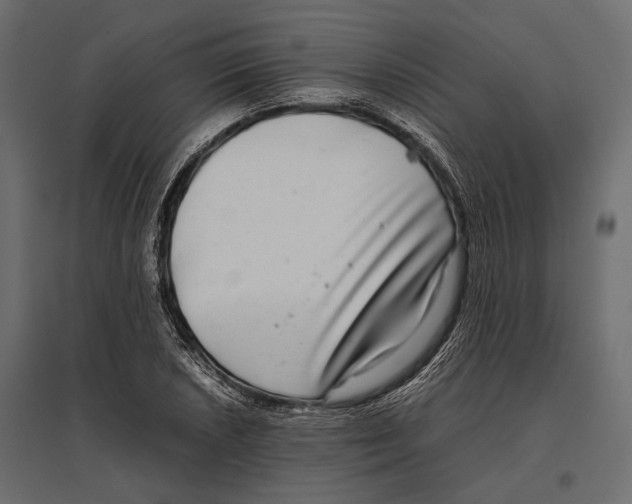 X0000096981026200803071024