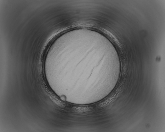 X0000096981027200803071024