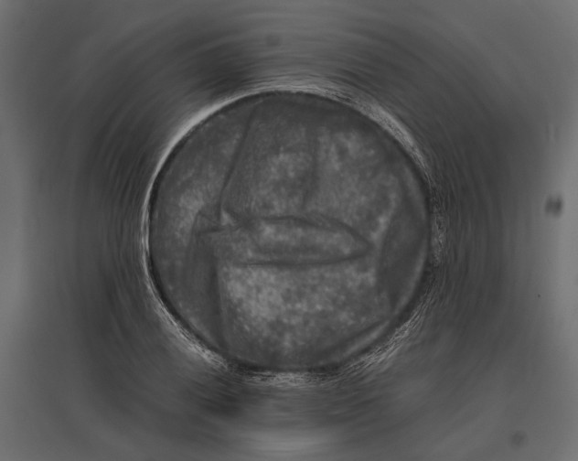 X0000096981028200803071024