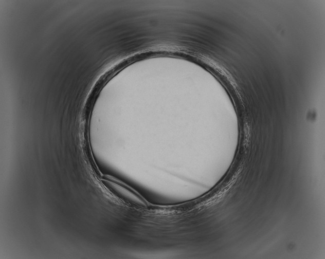 X0000096981029200803071024