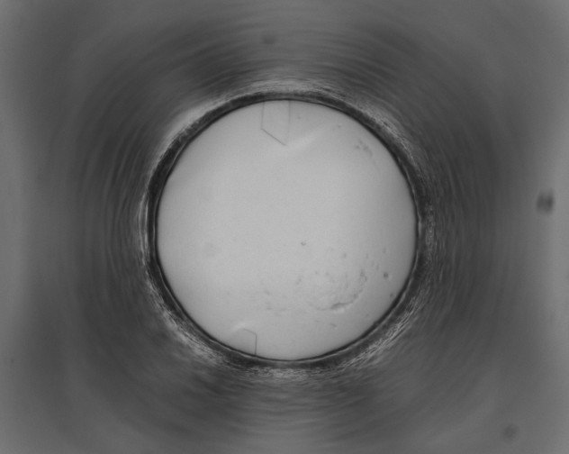 X0000096981030200803071024