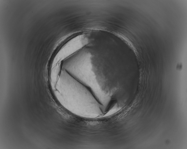 X0000096981031200803071024