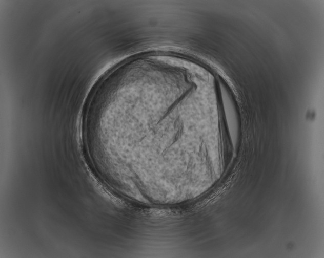 X0000096981032200803071025