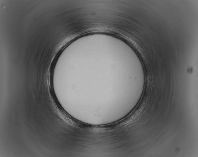 X0000096981034200803071025