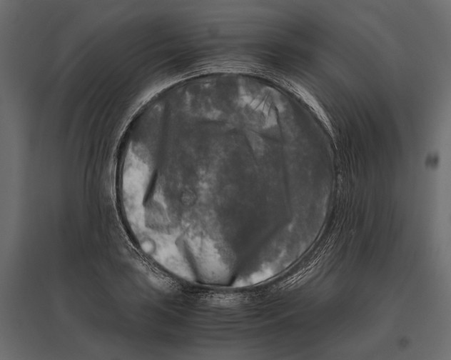 X0000096981035200803071025