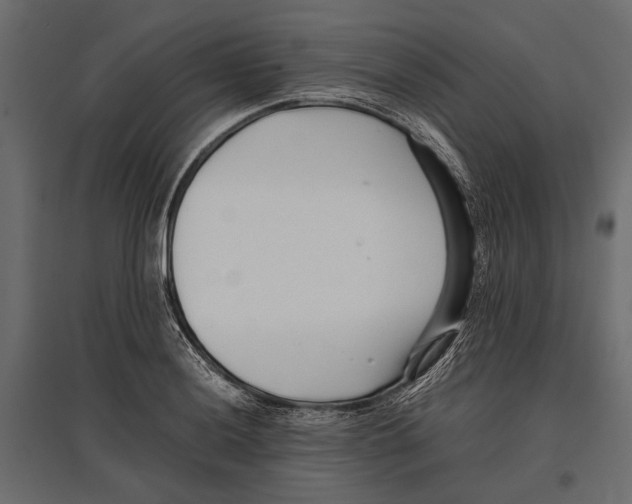 X0000096981036200803071025